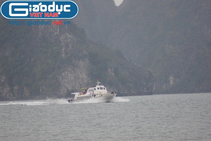 Một chiếc tàu cao tốc đưa hành khách từ TP Móng Cái (Quảng Ninh) về quê ăn Tết