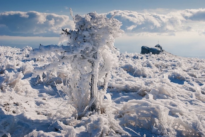 Mùa đông trên bán đảo Crimea