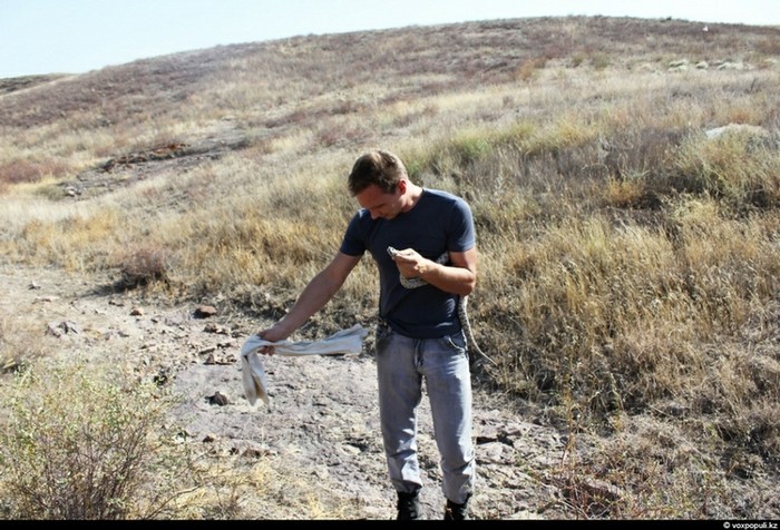 Theo chân thợ săn rắn độc ở Kazakhstan ảnh 10