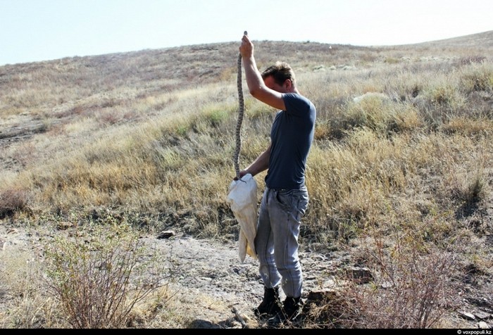 Theo chân thợ săn rắn độc ở Kazakhstan ảnh 11