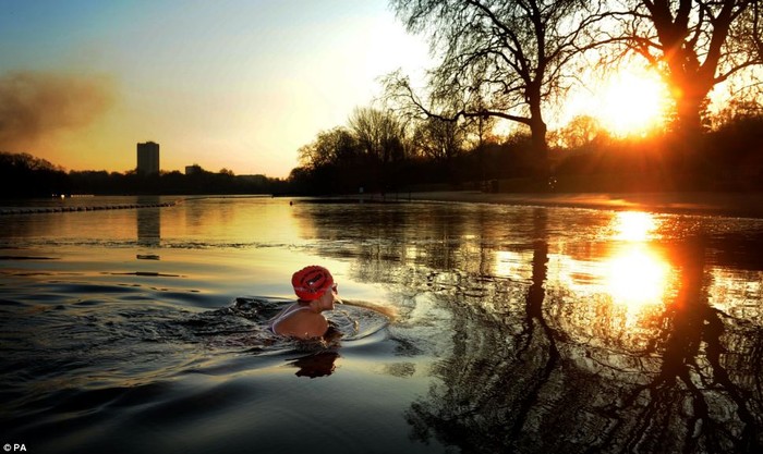 Dũng cảm bơi trong làn nước lạnh tại công viên Hyde Park, Anh