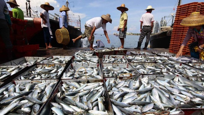 Đánh bắt hải sản xa bờ được chính quyền TQ hỗ trợ (ảnh minh họa)