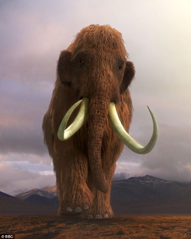 Đã có rất nhiều bộ phim làm về loài voi ma mút nhiều lông đã tuyệt chủng cách đây khoảng 10.000 năm này.