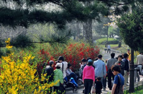 Một trong những không gian xanh lớn nhất ở Seoul và cũng là nơi mới nhất, Rừng Seoul mở cửa từ năm 2004 và tọa lạc trên khu săn bắn hoàng gia của đảo Ttukseom. Trong rừng còn tồn tại rất nhiều cây cổ thụ lớn và cùng với những thắng cảnh hấp dẫn khác, Rừng Seoul xứng đáng là một điểm đến của các bạn du học sinh.