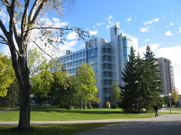 The University of Calgary là một trong số những lựa chọn tuyệt vời đối với những bạn đang muốn chọn Canada là đất nước để nối tiếp con đường học tập và nghiên cứu.