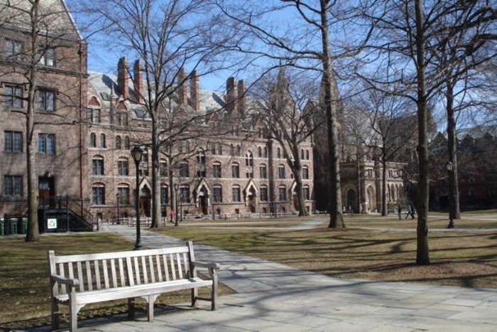 Yale có thành phần sinh viên bậc đại học khá đa dạng: nữ giới chiếm một nửa, sinh viên không thuộc gốc Âu chiếm hơn 30% và sinh viên quốc tế chiếm 8%. Yale cung cấp hỗ trợ tài chính cho tất cả các thí sinh nộp đơn nhập học, kể cả các sinh viên quốc tế. 40% sinh viên của Yale nhận được hỗ trợ tài chính, phần lớn dưới dạng học bổng không hoàn lại