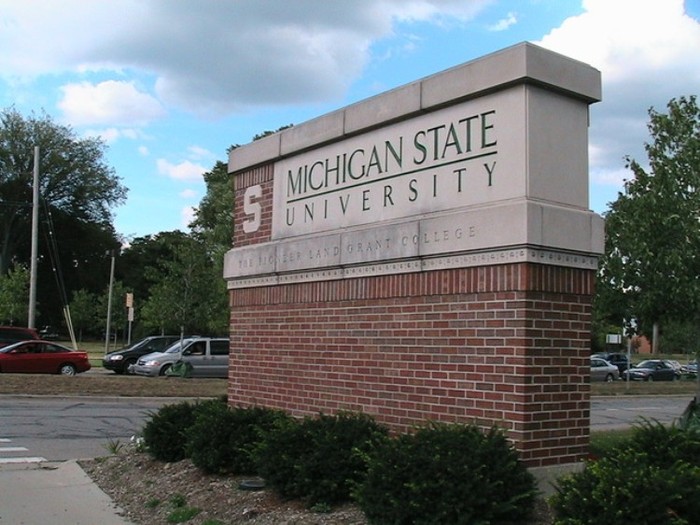 73. Michigan State University, United States