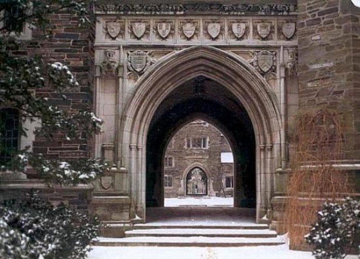 Viện Đại học Princeton là một viện đại học Tư thục tọa lạc ở Princeton, New Jersey. Đó là Viện đại học xếp thứ tư trong các trường và viện đại học cổ xưa nhất ở Hoa Kỳ và một trong tám trường và viện đại học của Ivy League.