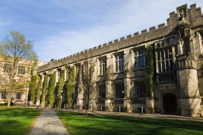 Tuy vậy, viện đại học không có một loạt các khoa đào tạo sau đại học như nhiều đại học khác — ví dụ, Princeton không có trường y khoa, trường luật khoa, hay trường quản trị kinh doanh.