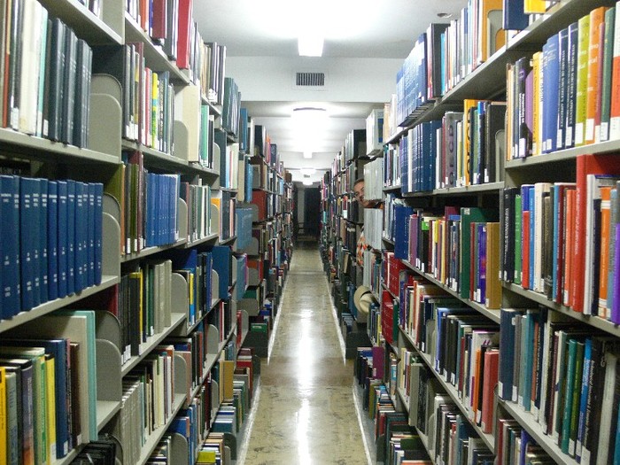Thư viện của viện đại học này có hơn 11 triệu đầu sách; thư viện chính của viện đại học, Thư viện Firestone, chứa khoảng 4 triệu cuốn sách, là một trong những thư viện đại học lớn nhất trên thế giới (và trong các thư viện lớn nhất có "các kệ sách mở" đã từng tồn tại).