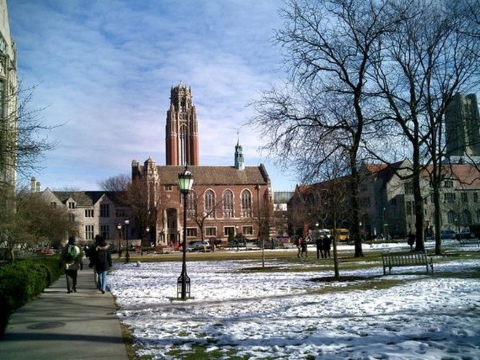 7. University of Chicago Mức học bổng trung bình bậc đại học: 48.436 USD Số lượng sinh viên quốc tế nhập học: 63