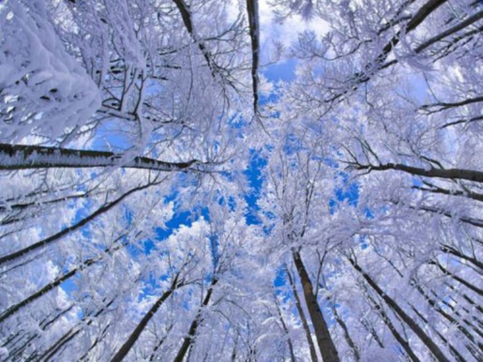 Tuyết vùng Bavaria