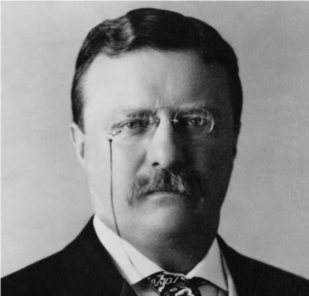Theodore Roosevelt, Jr. (27 tháng 10 năm 1858 – 6 tháng 1 năm 1919), cũng được gọi là T.R. và công chúng gọi là Teddy, là tổng thống thứ 26 của Hoa Kỳ, và là một lãnh đạo của Đảng Cộng hòa và của Phong trào Tiến bộ. Ông đã đảm trách nhiều vai trò, bao gồm: thống đốc tiểu bang New York, nhà sử học, nhà tự nhiên học, nhà phát minh, tác gia và quân nhân
