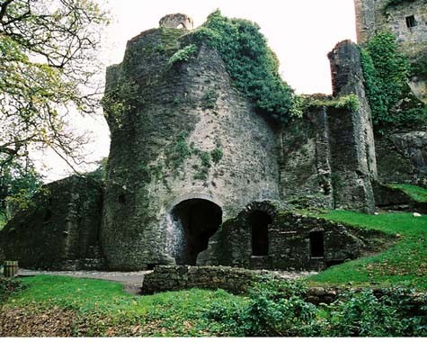 Lâu đài Blarney nằm gần thành phố Cork. Đây là lâu đài lớn thứ 2 Ireland, có từ năm 1400. Blarney đã bị phá đi một lần vào năm 1446, song sau đó đã được vua xứ Munster xây dựng lại. Đây được xem như là một trong những địa điểm du lịch kỳ quái nhất đất nước này.