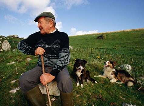Người nông dân Ireland ngồi nghỉ trên cánh đồng cỏ. Ở đất nước này vẫn duy trì một nền nông nghiệp từ lâu đời.