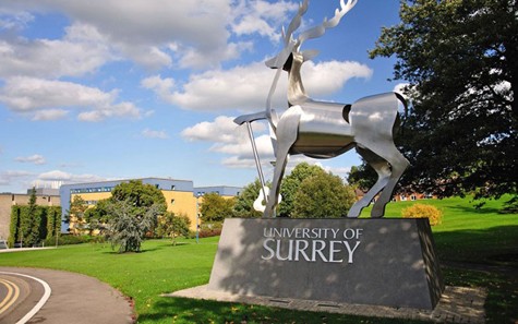 Đại học Surrey xếp ở vị trí thứ 6 tỷ lệ sinh viên có việc làm cao sau khi ra trường. Tiền thân của ngôi trường này là Công Nghệ Batterfield, được thành lập năm 1896. Tỷ lệ sinh viên tốt nghiệp sau khi ra trường là 94%.