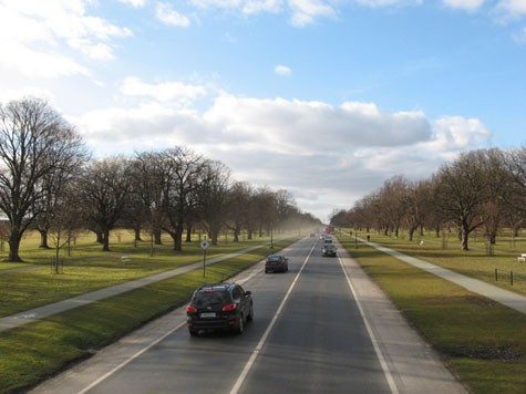 Đại lộ Chesterfield chạy xuyên qua công viên Phoenix. Riêng đoạn đường chạy từ cổng chính trên phố Parkgate xuyên qua công viên đến cổng Castlenock có độ dài 4,2 km.