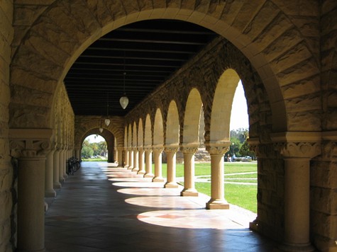 Đại học Stanford gồm bảy trường thành viên, trong đó các trường được xếp hạng cao như Trường Giáo dục, Trường Kỹ thuật, Trường Luật, Trường Y khoa, Viện Môi trường Woods… Stanford còn có một số ban nhạc sinh viên đình đám cũng như các cựu sinh viên nổi tiếng như cựu Tổng thống Mỹ Herbert Hoover, nữ diễn viên Sigourney Weaver và tay golf Tiger Woods, người đã bắt đầu sự nghiệp chuyên nghiệp của mình tại Đại học Stanford.