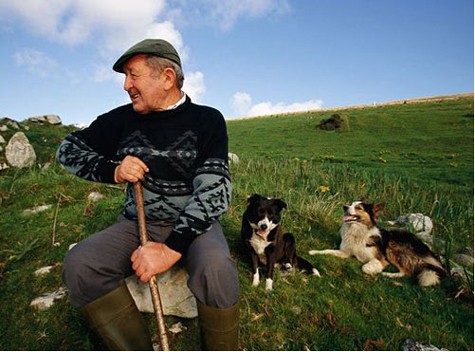 Người đàn ông ngồi trên cánh đồng ở Ireland