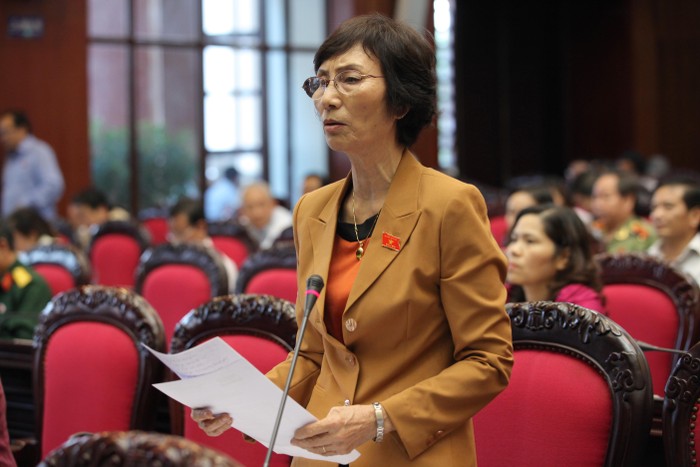 Bà Bùi Thị An, đại biểu Quốc hội khóa 13. Ảnh: Ngọc Thắng.