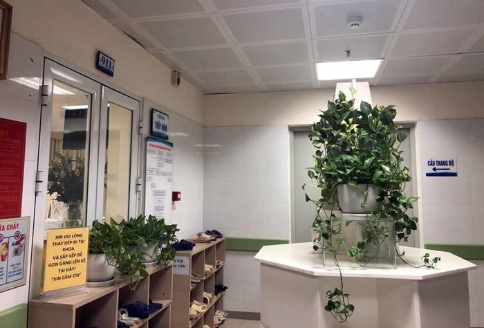Không gian xanh trong bệnh viện tạo cảm giác thoải mái hơn cho người dân đến khám và điều trị bệnh. Ảnh: Hồng Hải.