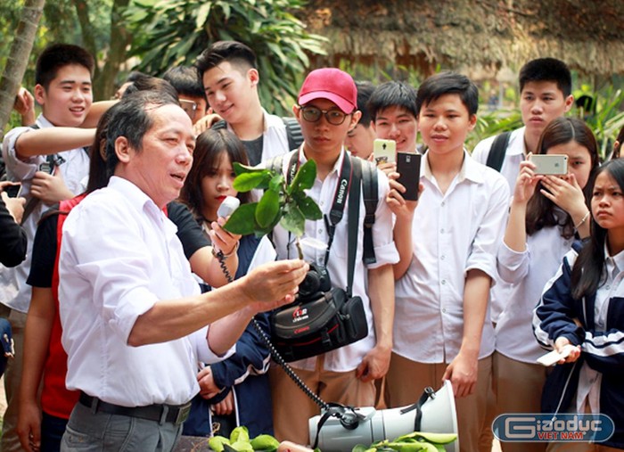 Học sinh Trường Trung học phổ thông Phan Huy Chú (quận Đống Đa, Hà Nội) trong giờ học trải nghiệm. Ảnh: NVCC.