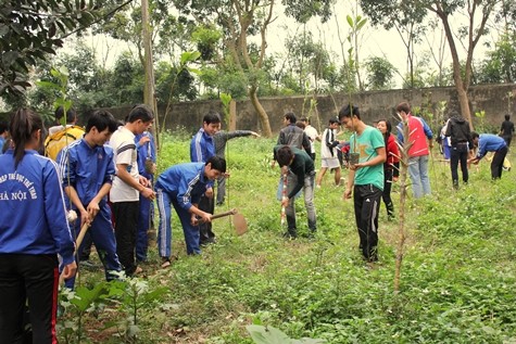 Công việc trồng cây tạo cảnh quan được sinh viên tự tay làm.