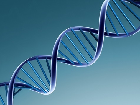 ADN giải mã những điều tưởng chừng là bí mật. Ảnh minh họa: Nguồn Internet