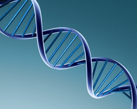 Trong xã hội hiện đại, ngày càng có nhiều người tìm đến phương pháp phân tích ADN như một chìa khóa vạn năng mở ra mọi bí mật. Ảnh minh họa: Nguồn Internet