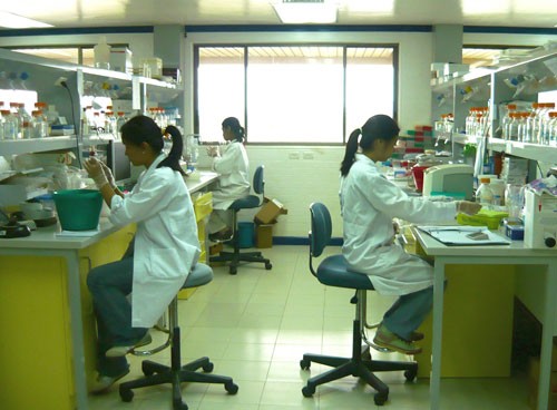 Nhân viên của một phòng thí nghiệm tư nhân nghiên cứu công nghệ sinh học biến đổi gien