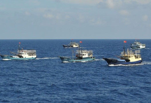 Tàu cá Trung Quốc đánh bắt thủy sản trái phép tại Trường Sa dưới sự yểm trợ của tàu Ngư chính 310.