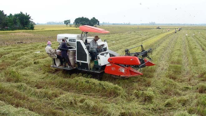 Việc hỗ trợ hơn 470 tỷ đồng cho 9 địa phương phát triển đất trồng lúa cho thấy Chính phủ rát chú trọng tới an ninh lương thực trong tương lai. ảnh: LDO.