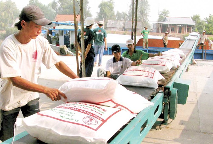 Theo đề án 15 năm nữa, gạo Việt nam sẽ có thương hiệu hàng đầu thế giới. ảnh: dantri.