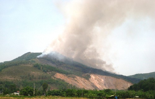 Nhiều héc-ta rừng phòng hộ tại Thanh Hóa bị cháy rụi. ảnh: vnexpress