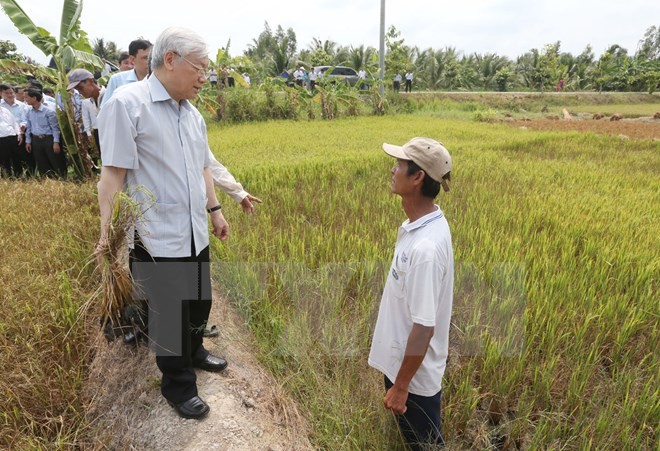 Tổng Bí thư Nguyễn Phú Trọng thăm hỏi nông dân trên cánh đồng lúa bị xâm nhập mặn ở xã Tân Thanh , huyện Giồng Chôm. (Ảnh: Trí Dũng/TTXVN).