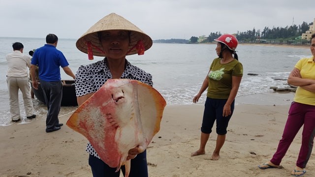 Sự cố môi trường biển đã gây ra thiệt hại lớn cho ngư dân tại 4 tỉnh miền Trung. ảnh: Báo Nhân dân.