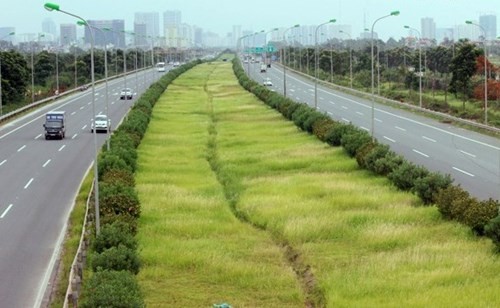 Dư luận đặt ra câu hỏi: 53 tỷ đồng/năm để cắt tỉa cây ở Đại lộ Thăng Long đã rơi vào túi ai? ảnh: Kiến thức.