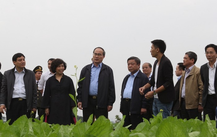 Doanh nhân Thái Hương giới thiệu với Chủ tịch Nguyễn Thiện Nhân về trang trại rau organic (rau hữu cơ) mang thương hiệu FVF của tập đoàn TH.