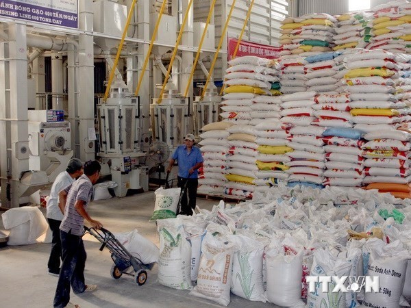 Xuất khẩu gạo là một thế mạnh của Việt Nam. ảnh: TTXVN.