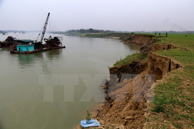 Công ty Cổ phần Phát triển Đầu tư Thái Sơn khai thác cát làm sạt lở đất của người dân xã Tử Đà, huyện Phù Ninh, Phú Thọ. ảnh: TTXVN.