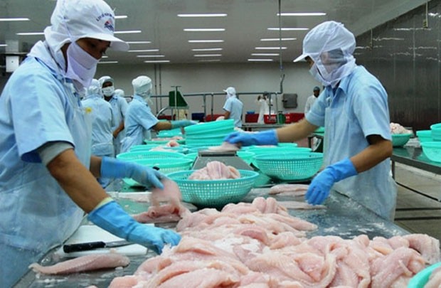 Tìm giải pháp gỡ khó cho cá tra xuất khẩu sang Mỹ. ảnh: chinhphu.vn