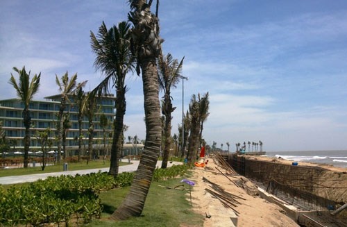 Khi dự án của FLC xuất hiện, rừng phòng hộ ven biển tại Sầm Sơn (Thanh Hóa) đã bị chặt hết. ảnh: Lao động.