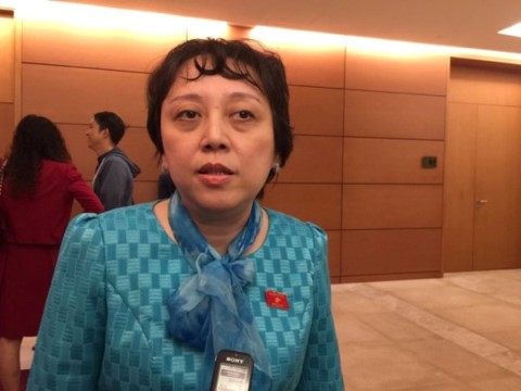 Bà Phạm Khánh Phong Lan liên tục có những phát biểu nhằm vào Bộ Y tế trong những năm qua. ảnh trên An ninh Thủ đô.