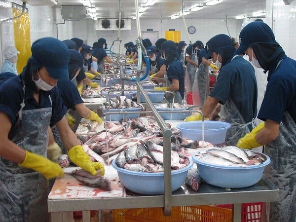 Xuất khẩu thủy sản là một trong những thế mạnh của Việt Nam. ảnh: TTXVN.