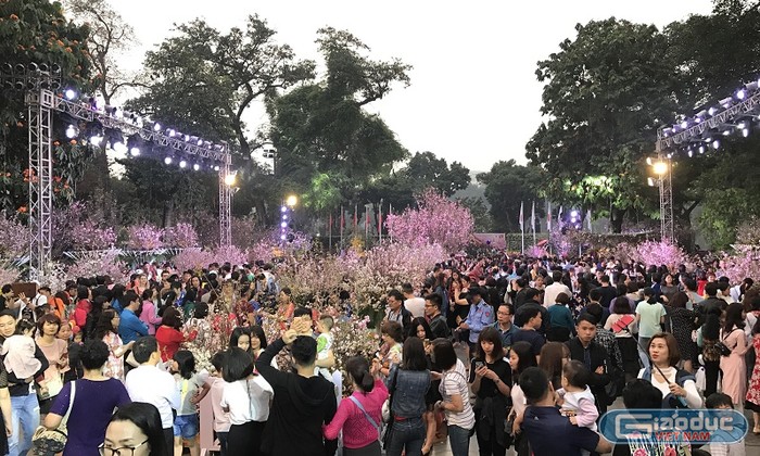 Lễ hội trưng bày khoảng 50 cây và 30.000 cành hoa Anh đào; Cây cảnh nghệ thuật, một số loài hoa đặc trưng của Việt Nam.