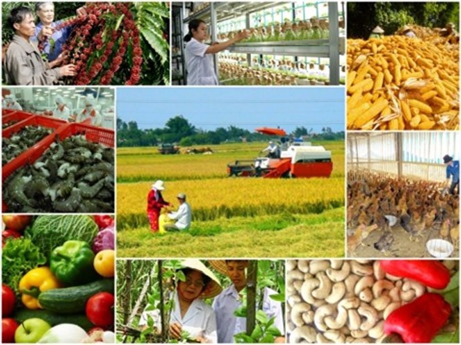 Theo Nghị định số 58/2018/NĐ-CP, cá nhân sản xuất nông nghiệp thuộc diện hộ nghèo, cận nghèo được Nhà nước hỗ trợ tối đa 90% phí bảo hiểm nông nghiệp. ảnh: chinhphu.vn