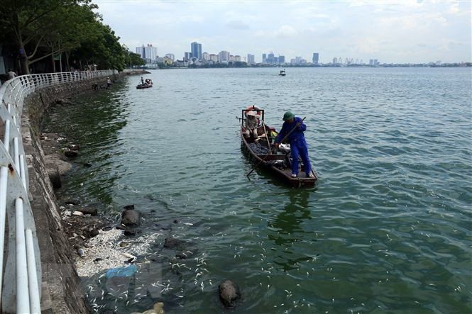 Chuyên gia môi trường của Nhật Bản đề nghị sẽ hỗ trợ Việt Nam làm sạch một phần Hồ Tây và sông Tô Lịch. ảnh: TTXVN.