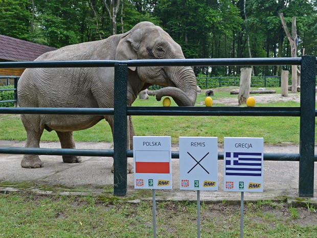 Zoo (sở thú): Sở thú Kharkiv là nơi nuôi dưỡng nhiều “nhà tiên tri” nhất của EURO 2012. Nào là voi Citta, lợn Funtik hay gà Fred...