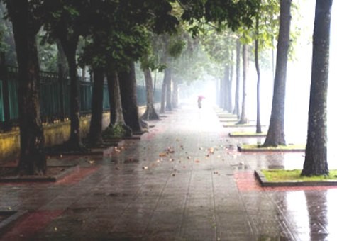 Hôm nay, Hà Nội và các tỉnh miền Bắc có sương mù và mưa vài nơi. (Ảnh minh họa)