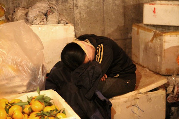 Ngủ... ngồi trong góc hàng hoa quả ở chợ đầu mối rau quả Long Biên.
